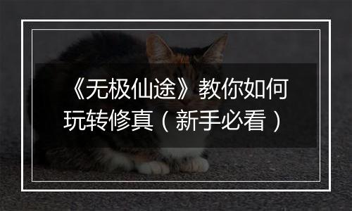 《无极仙途》教你如何玩转修真（新手必看）