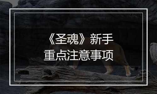 《圣魂》新手重点注意事项