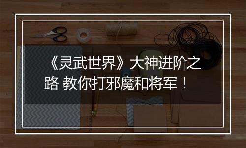 《灵武世界》大神进阶之路 教你打邪魔和将军！