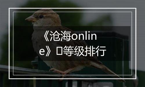 《沧海online》​等级排行