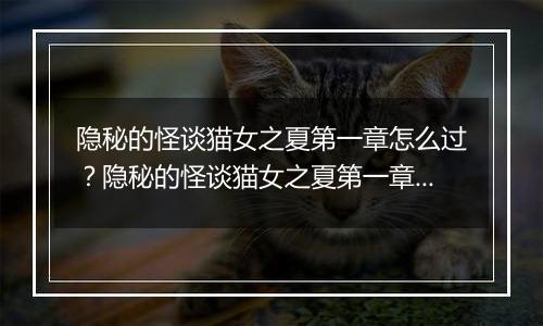 隐秘的怪谈猫女之夏第一章怎么过？隐秘的怪谈猫女之夏第一章游戏图文通关攻略