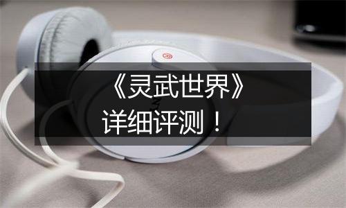 《灵武世界》详细评测！