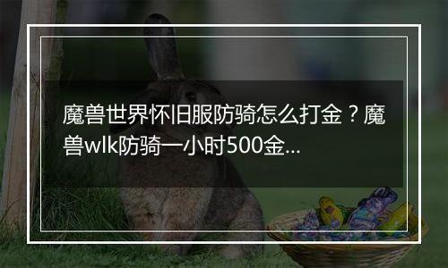 魔兽世界怀旧服防骑怎么打金？魔兽wlk防骑一小时500金教学攻略