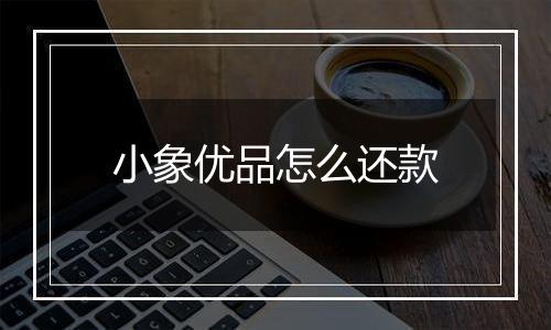 小象优品怎么还款