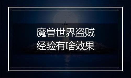 魔兽世界盗贼经验有啥效果