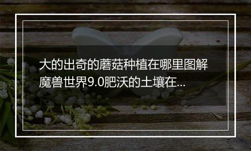 大的出奇的蘑菇种植在哪里图解 魔兽世界9.0肥沃的土壤在哪里在哪