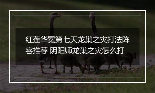 红莲华冕第七天龙巢之灾打法阵容推荐 阴阳师龙巢之灾怎么打