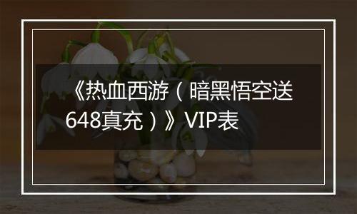 《热血西游（暗黑悟空送648真充）》VIP表