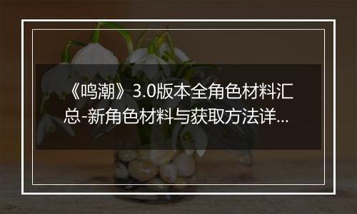 《鸣潮》3.0版本全角色材料汇总-新角色材料与获取方法详解