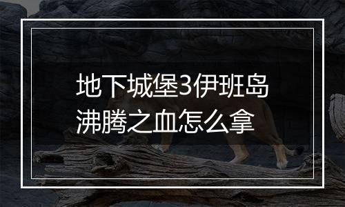 地下城堡3伊班岛沸腾之血怎么拿