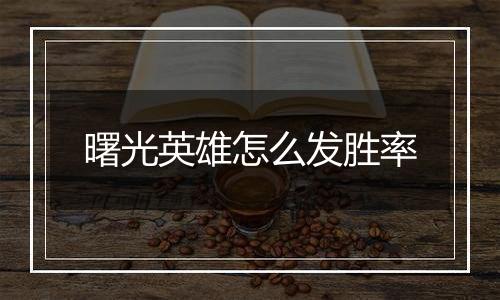 曙光英雄怎么发胜率