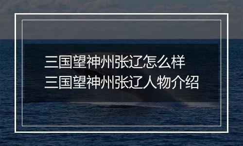 三国望神州张辽怎么样 三国望神州张辽人物介绍