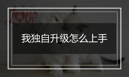 我独自升级怎么上手