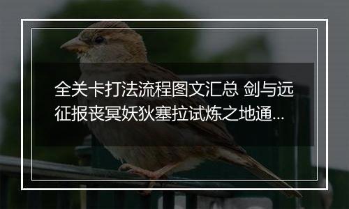 全关卡打法流程图文汇总 剑与远征报丧冥妖狄塞拉试炼之地通关阵容推荐