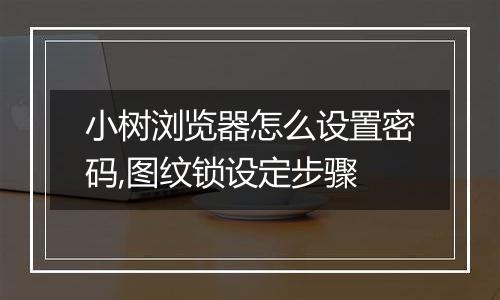 小树浏览器怎么设置密码,图纹锁设定步骤