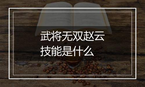 武将无双赵云技能是什么