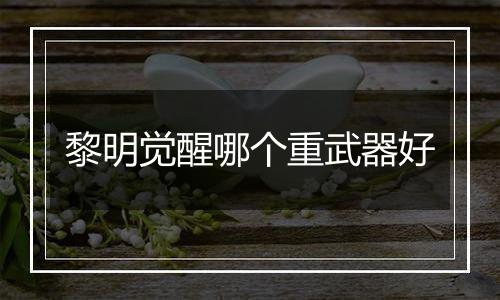 黎明觉醒哪个重武器好