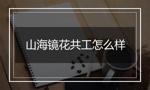 山海镜花共工怎么样