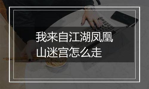 我来自江湖凤凰山迷宫怎么走