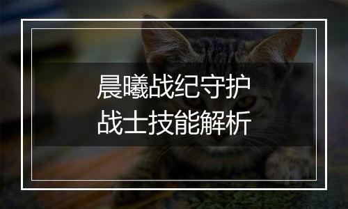 晨曦战纪守护战士技能解析