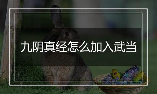 九阴真经怎么加入武当