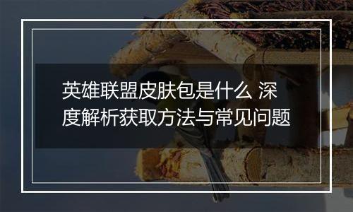 英雄联盟皮肤包是什么 深度解析获取方法与常见问题