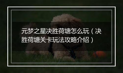 元梦之星决胜荷塘怎么玩（决胜荷塘关卡玩法攻略介绍）