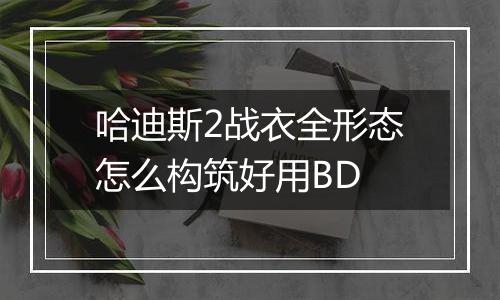 哈迪斯2战衣全形态怎么构筑好用BD