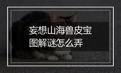 妄想山海兽皮宝图解谜怎么弄