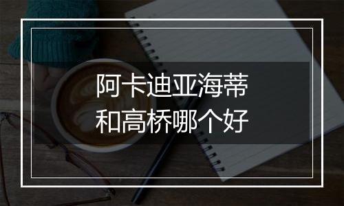 阿卡迪亚海蒂和高桥哪个好