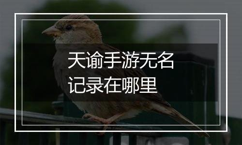 天谕手游无名记录在哪里