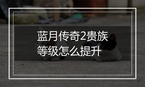蓝月传奇2贵族等级怎么提升