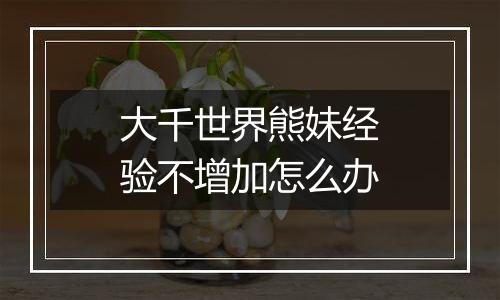 大千世界熊妹经验不增加怎么办