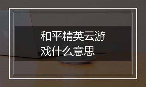 和平精英云游戏什么意思