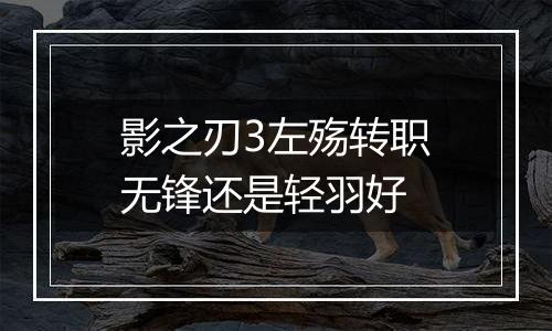 影之刃3左殇转职无锋还是轻羽好