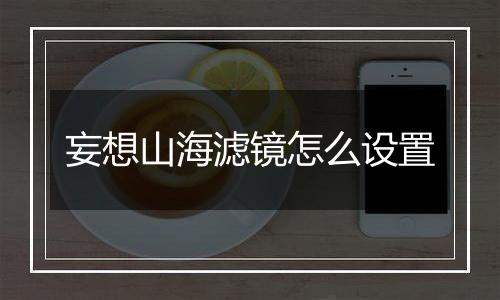 妄想山海滤镜怎么设置