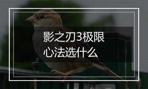 影之刃3极限心法选什么