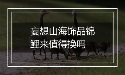 妄想山海饰品锦鲤来值得换吗