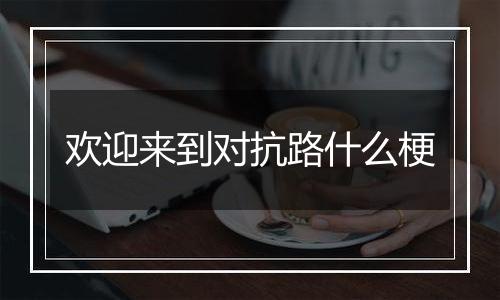 欢迎来到对抗路什么梗