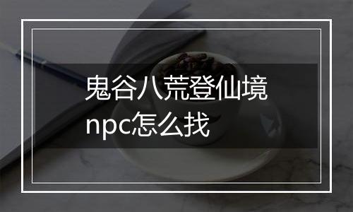 鬼谷八荒登仙境npc怎么找