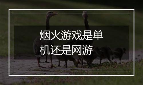 烟火游戏是单机还是网游