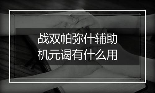 战双帕弥什辅助机元谒有什么用