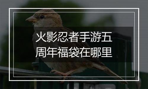 火影忍者手游五周年福袋在哪里