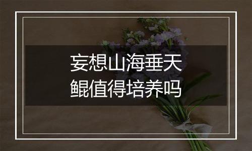 妄想山海垂天鲲值得培养吗