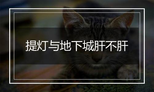 提灯与地下城肝不肝