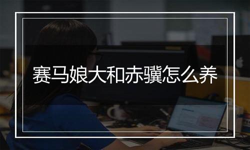 赛马娘大和赤骥怎么养