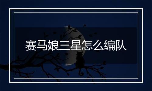 赛马娘三星怎么编队