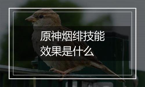 原神烟绯技能效果是什么