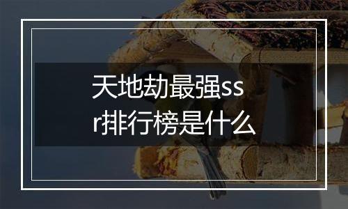 天地劫最强ssr排行榜是什么