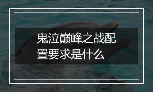 鬼泣巅峰之战配置要求是什么